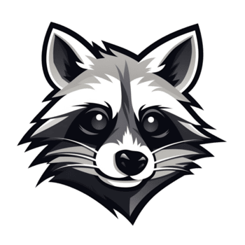 Racoon