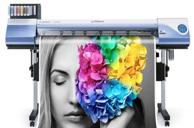 Digital Printing & Large Format Printing